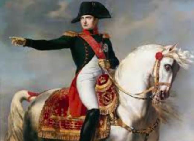 Napoleon Rises