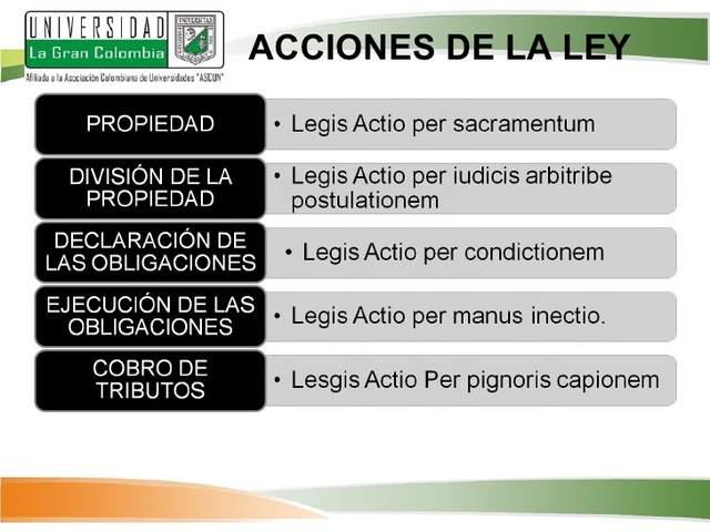 Las acciones de la ley