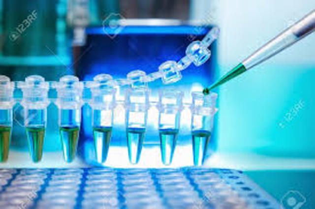 Descubrimiento de la ADN polimerasa termoestable - Optimización de PCR