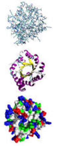 Aplicación del perfil de proteínas en enfermedades humanas