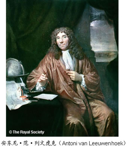 Atonie van Leeuwenhoke