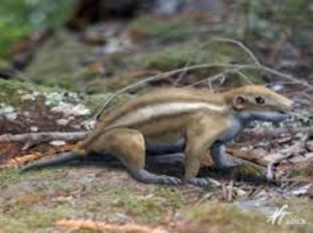 65 millones de años