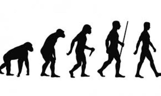 1,95  millones de años