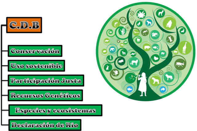 Convenio sobre la Diversidad Biológica (CDB)