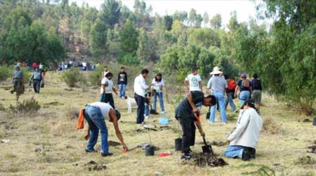 Primera respuesta directa de organización administrativa