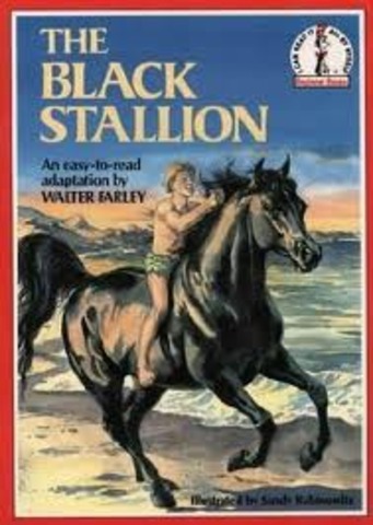 Read "The Black Stallion" series