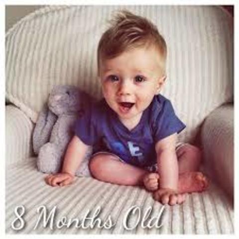 8 months old