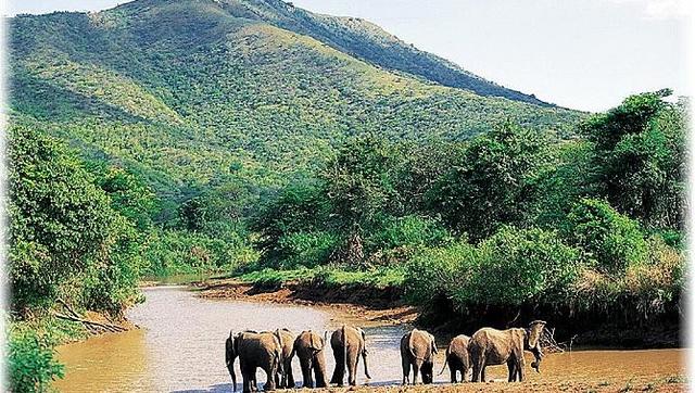 Consigue un contrato de trabajo en Natal-Sudáfrica