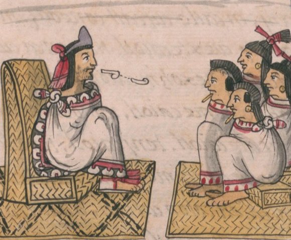 Llego a Nueva España