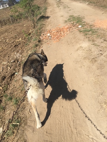 I went to Guatemala.