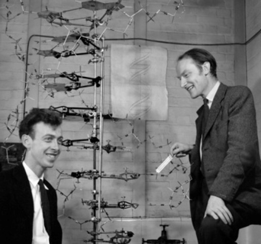 Watson y Crick