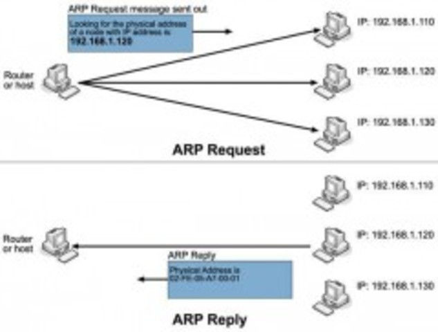 El Departamento de Defensa de Estados Unidos crea ARP