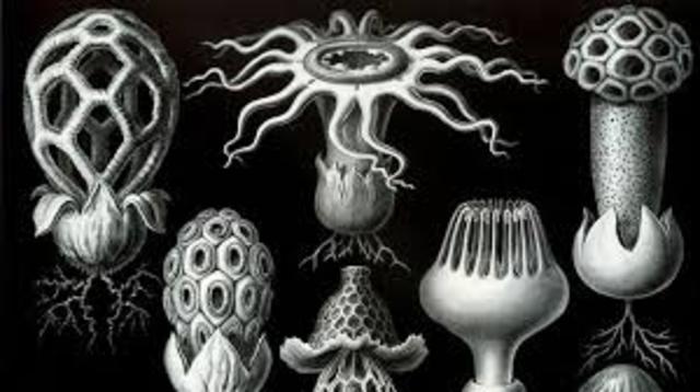 1200 millones de años