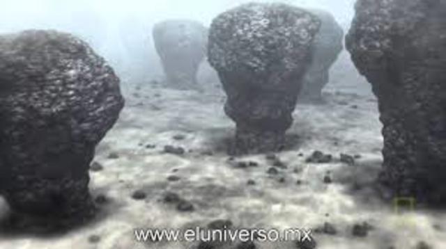 Aparición de los estromatolitos