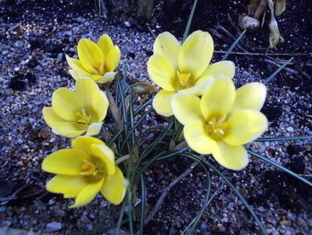 Hace 120 millones de años...