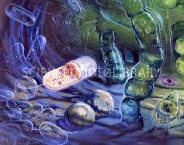 1200 millones de años