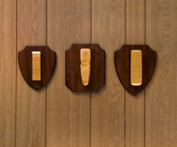 Received english award at grade 8 grad .