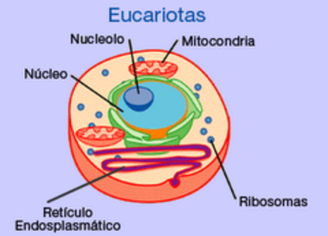 2500 millones de años
