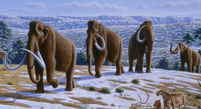 Dominio de los mamíferos