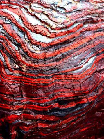 Aparición Estromatolitos