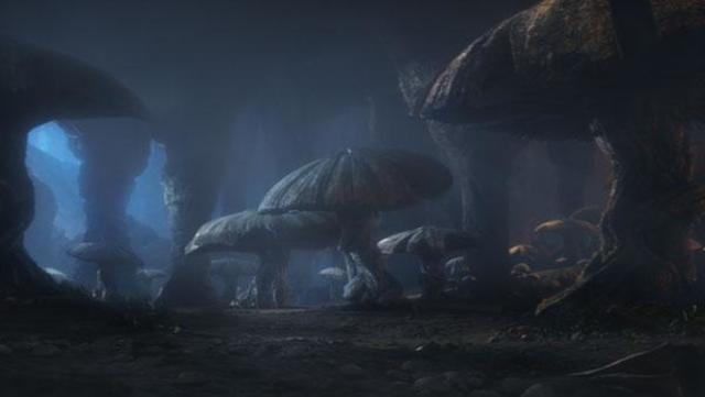 Seres multicelulares