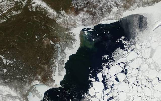 Aparición de las plantas