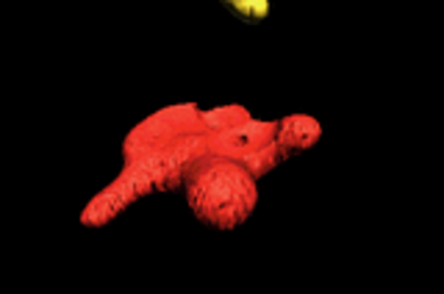 Descobriment dels Ribosmes