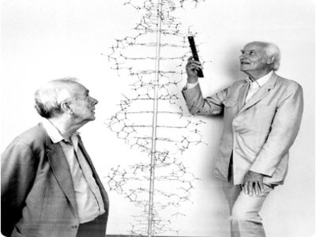 Watson and Crick