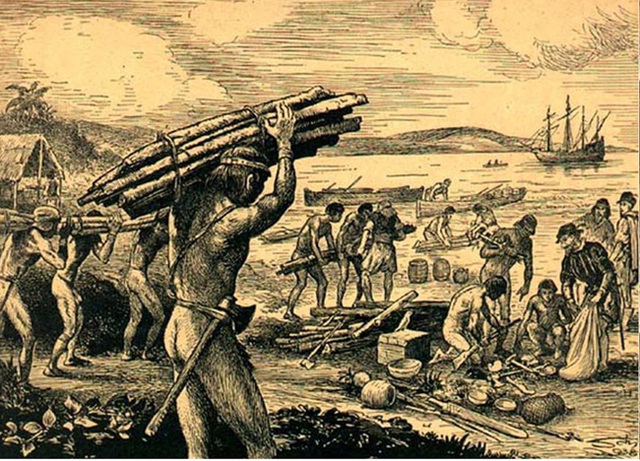 Descobrimento do Pau Brasil