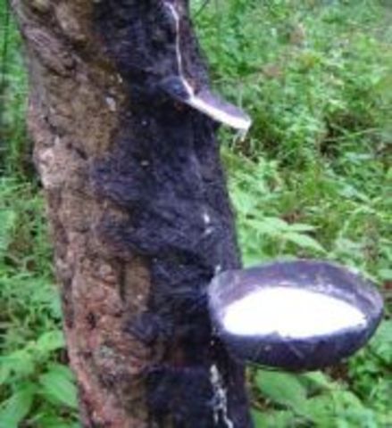 Descubrimiento de América.