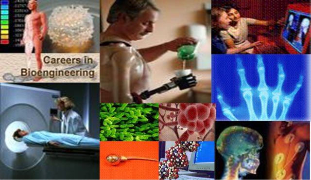 Cambios que afectarían el desarrollo teórico del aprendizaje de adultos