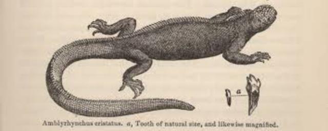 El proceso de preparación