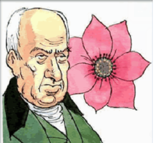 Descobriment del nucli