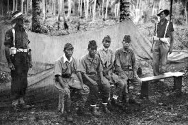 Japanese prisoners