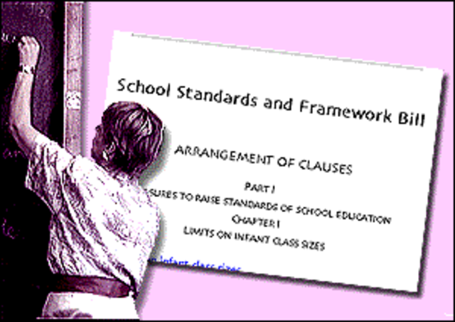 School Standards and Framework Act 1998