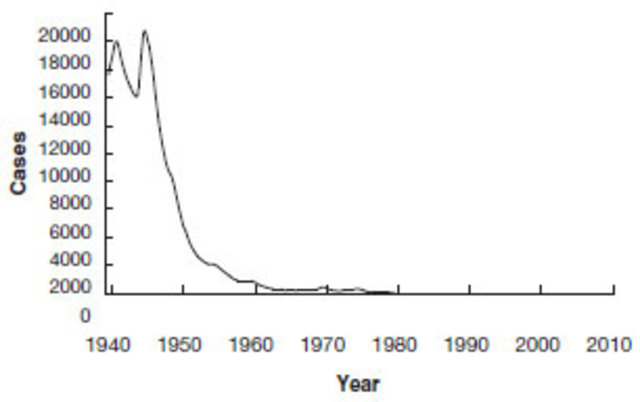 DTP (Diphtheria, Tetanus, and Pertussis)