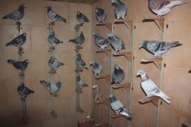 El primer servicio postal enviado