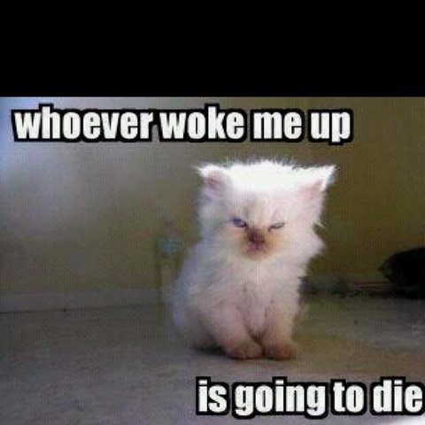 Good Morning Your Going to Die