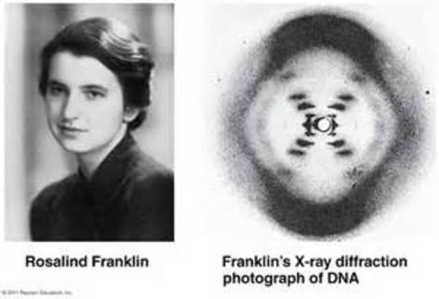 Rosalind Franklin