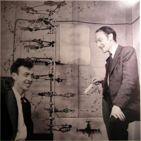 James Watson and Francis Crick