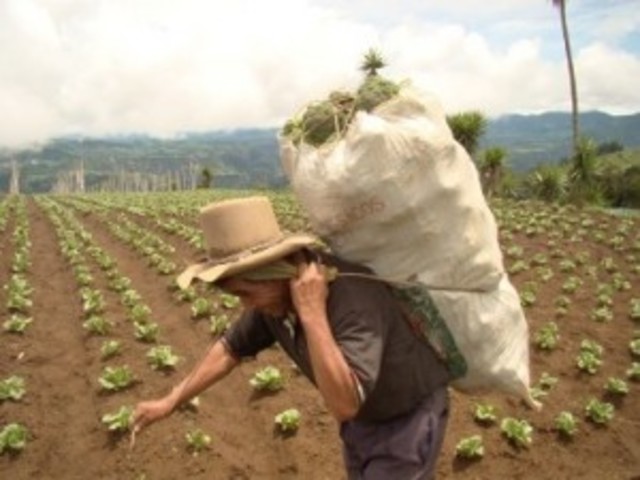 La sociedad en una república agroexportadora