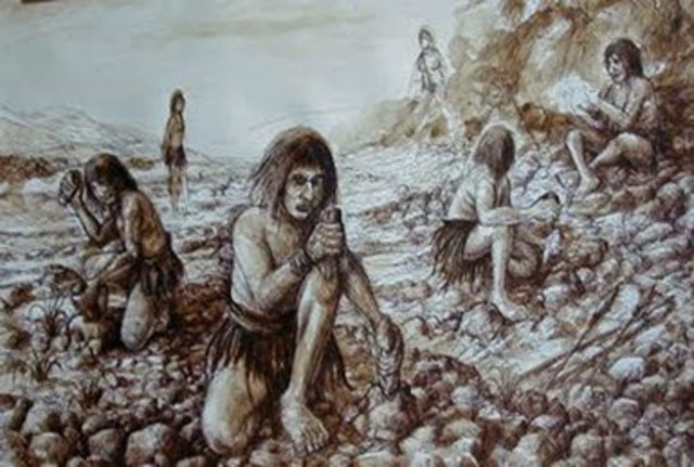 La evolución humana