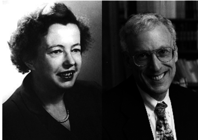 Mayer (1977) y Sternberg (1979)