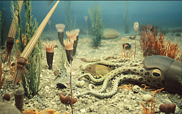 Ordovician Period : 470 to 444 millions years ago