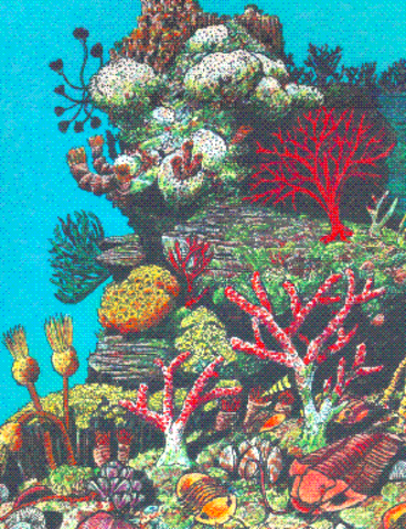 Silurian Period : 430 to 416 millions years ago