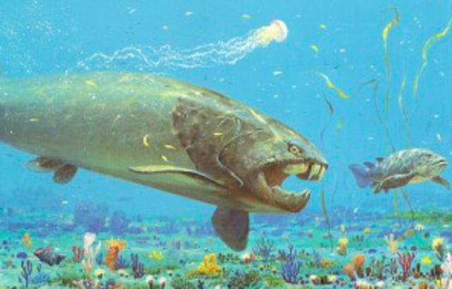 Devonian Period : 398 to 359 millions years ago