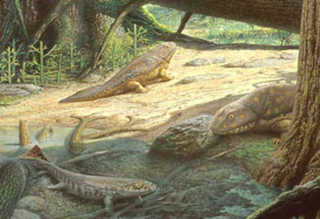 Mississippian Period : 354 to 318 millions years ago