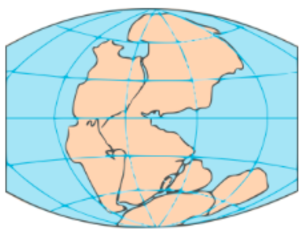 Permian Period : 270 to 251 millions years ago