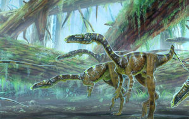 Triassic Period : 245 to 199 millions years ago.