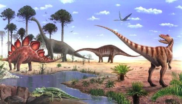 Jurassic Period : 175 to 145 millions years ago